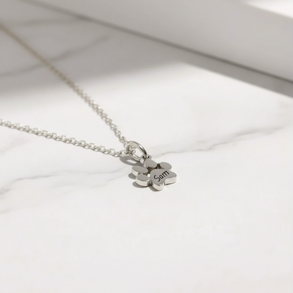 Silver Paw Print Hero Shot